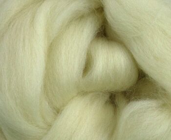 White Dorset Horn – Bild 2
