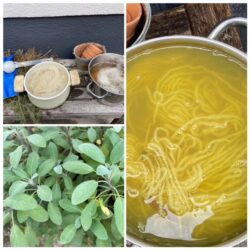 Kurs: Mit Pflanzen färben - Grundlagen, 19.06.2026