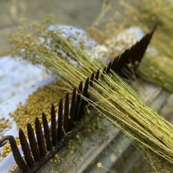 Kurs : Flachs spinnen 11.04.2026 (Kurs der VHS MURAU)